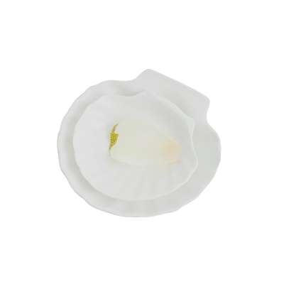 China manufactures funny design shell shape dishes plate set for restaurant