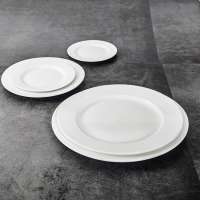 P&T RoyalWare Smooth Surface Round Porcelain Plate Dinner Set Ceramics Use for Hotel, Restaurant